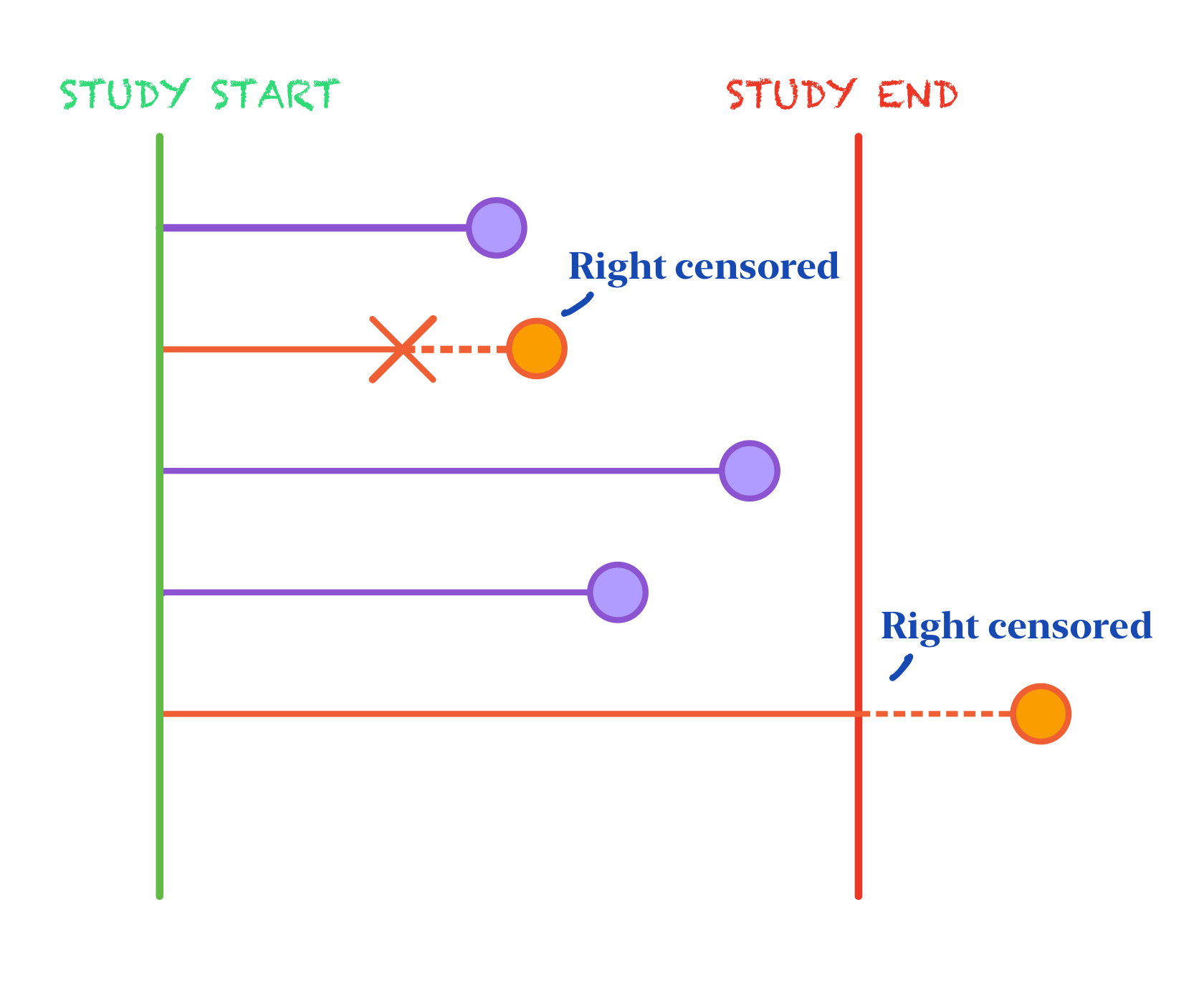 Right censoring occurs when a subject enters the study before experiencing the event of interest at time = 0 and leaves the study without experiencing the event either by not staying the full observational time, or staying the full time without having the event occur.